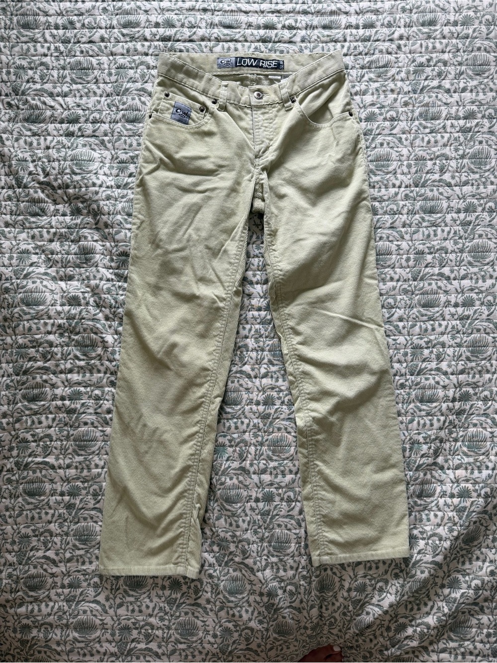 Cruel Girl Low Rise Straight Leg Pants in Light Olive Green